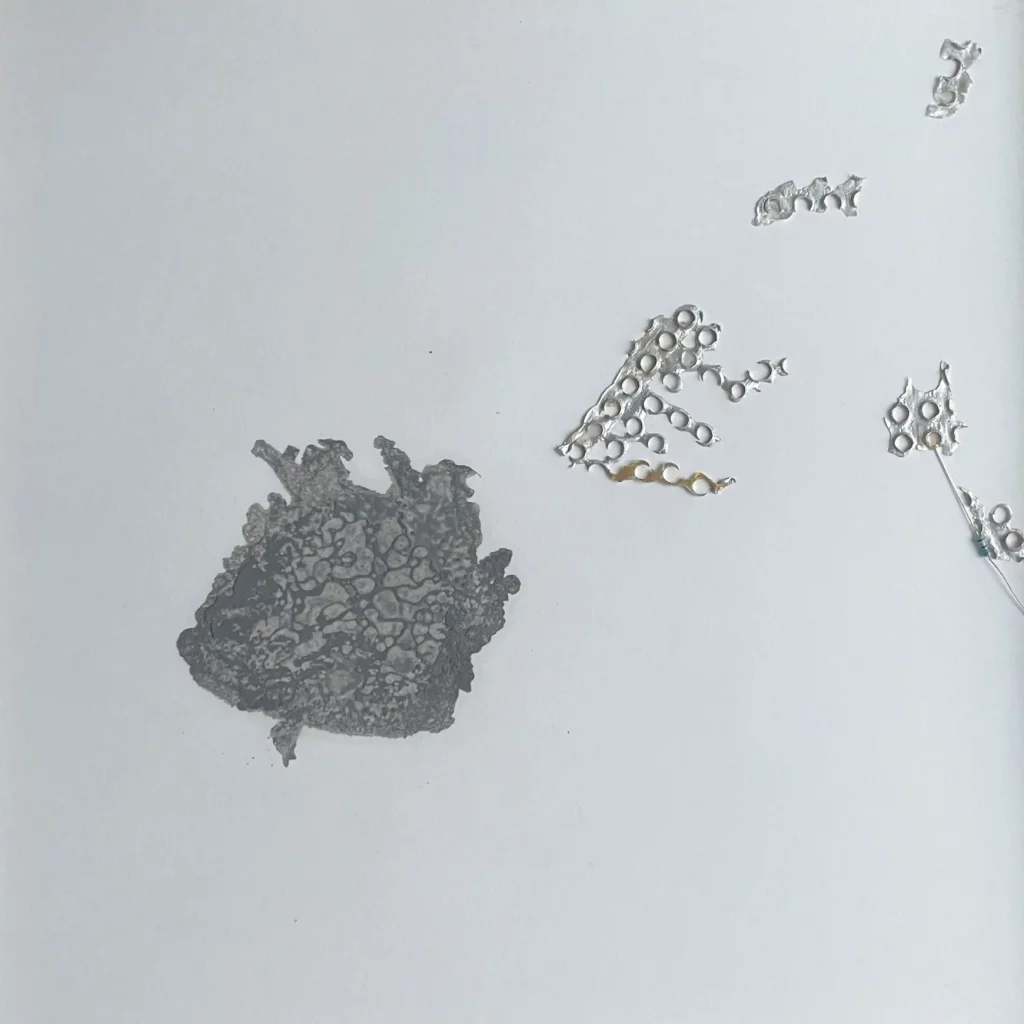 maviiemauer_2025_mischtechnik_residuen