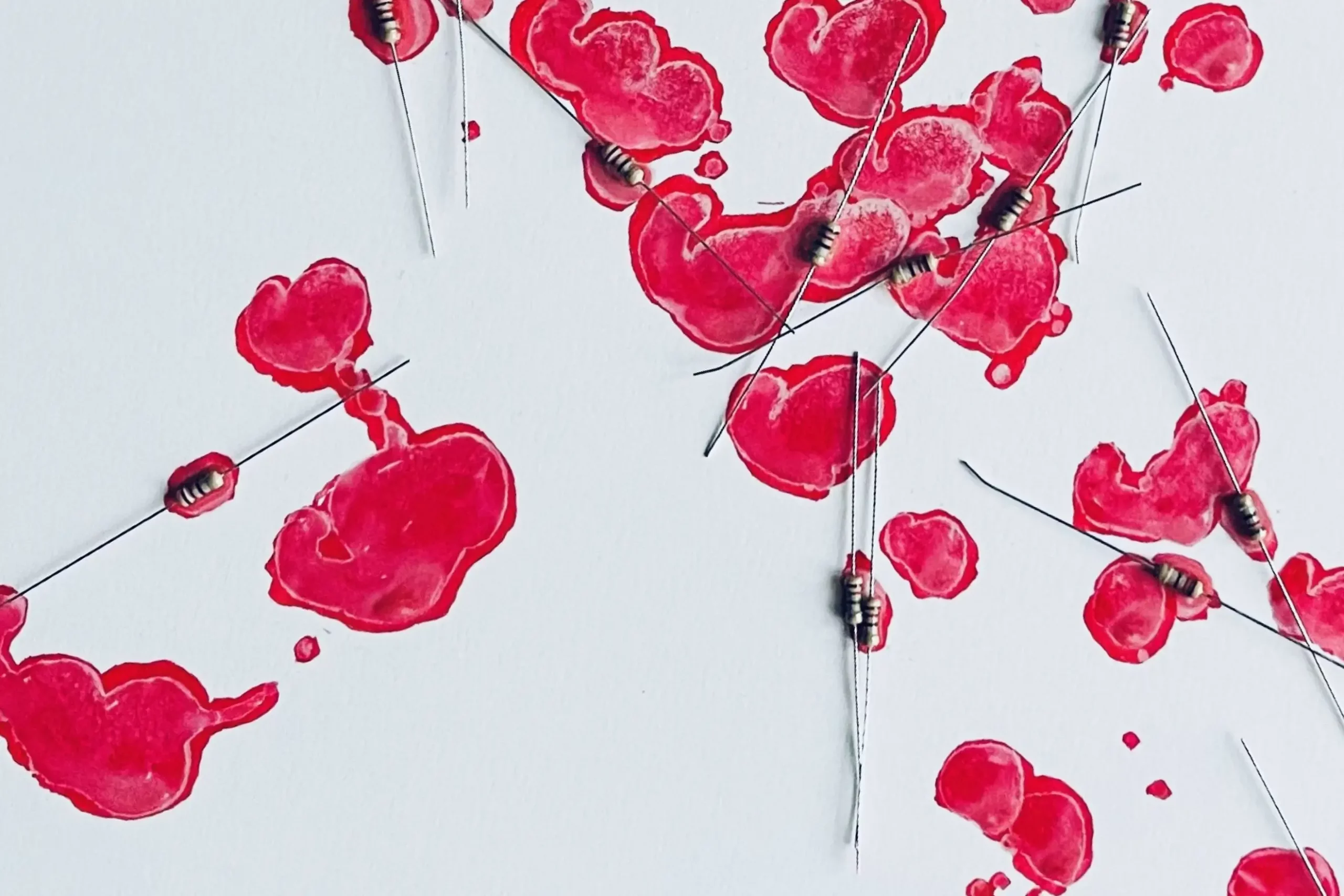 maviiemauer_2025_zustand_offen_spuren-einer-existenz