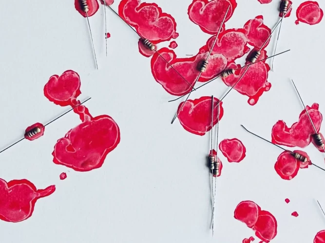 maviiemauer_2025_zustand_offen_spuren-einer-existenz